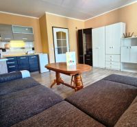 Studio apartment with a kitchenette, wooden floor decor, and a comfortable sofa.