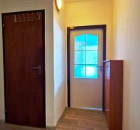 In the studio apartment, there is a narrow hallway with a wood-patterned floor and wooden doors.