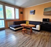 Studio apartment with wood-patterned flooring, a sofa, a table, and a cabinet in a spacious interior.