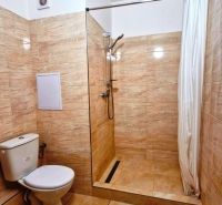 Studio apartment bathroom with a toilet and a shower, tiled with ceramic tiles.