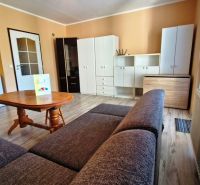 Studio apartment with wood-patterned flooring, kitchen, sofa, and white furniture.
