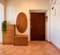 Entrance hall of a two-room apartment with wooden decor and practical furniture.