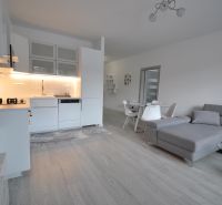 A bright kitchen with a sofa and a dining table, a two-room apartment with a wood-patterned floor.