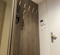 Entrance hall with coat racks and wooden decor flooring in a 2-room apartment.