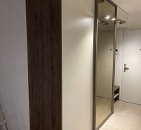Built-in wardrobe with mirror and floor with wood decor in a 2-room apartment.