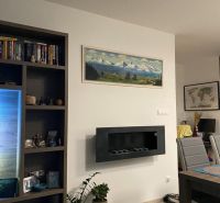 Living room in a 2-room apartment with a modern fireplace, a painting, and a bookshelf full of books.