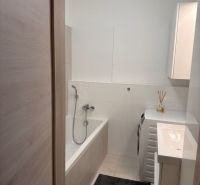 Bathroom in a 2-room apartment with a bathtub, washing machine, and sink.