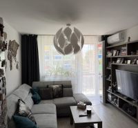 Living room in a two-room apartment with a comfortable sofa and wooden decor flooring.