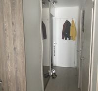Hallway in a 2-room apartment with a wood-patterned floor and a built-in wardrobe.