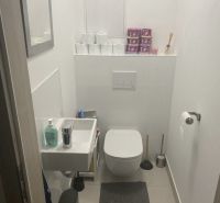 Compact bathroom in a 2-room apartment with a toilet, sink, and storage space.