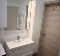 Bathroom with a sink, mirror, and washing machine in a 2-room apartment.