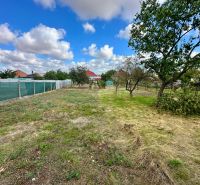 Dulovce, Cintorínska: Garden by the family house, fencing, trees, and a blue sky with clouds.