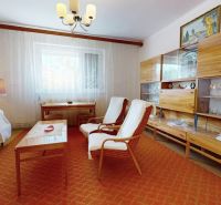 Living room of a family house with a wooden wall, comfortable armchairs, and a table on a carpet.