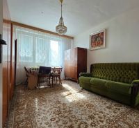 Living room of a two-room apartment with a green sofa and a vintage carpet.