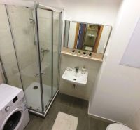 Bathroom with a sink, shower, and washing machine in a studio apartment, decorations on the shelf.