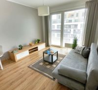 Living room in a studio apartment with wood-patterned flooring and gray furniture.