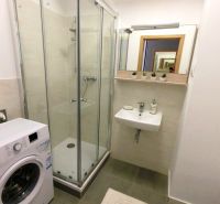 Bathroom with a washing machine, shower, sink, and mirror in a studio apartment.