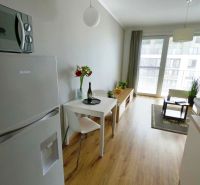 Interior of a 1-bedroom apartment with a wooden decor floor, dining table, and sofa.