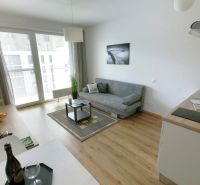 1-bedroom apartment with a sofa, wood-patterned floor, green plants, and a balcony.