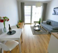 Living room with a sofa, dining table, and wood-patterned flooring in a studio apartment.