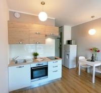 Interior of a 1-room apartment with a kitchen, white furniture, and a floor with a wood decor.