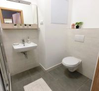 Compact bathroom in a studio apartment with a sink, shower, and toilet.