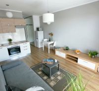A bright kitchen and living room with wood-patterned flooring in a studio apartment.