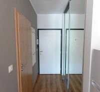 A hallway in a one-room apartment with a wooden decor floor and a wardrobe with a mirror.