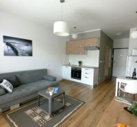 Living room with a kitchenette, gray sofa, and wooden decor flooring.