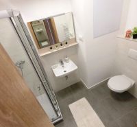 A bathroom with a shower and a sink in a studio apartment.
