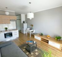 A kitchen in a studio apartment with a sofa, dining table, and wood-patterned flooring.