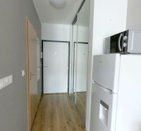A hallway in a one-room apartment with a wooden decor floor, a mirrored wardrobe, and appliances.