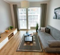 Living room in a studio apartment with a sofa, wooden decor flooring, and decorations.