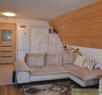 Bright living room with a couch, wooden decor, and a carpet in the cottage.