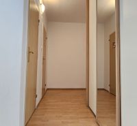A hallway with a wardrobe and a floor with a wooden decor in a studio apartment.