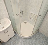 Bathroom with a sink, shower stall, and tiles in a studio apartment.