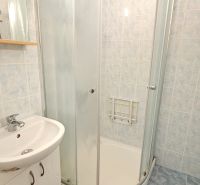 Bathroom with shower and sink in a studio apartment.