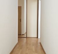 A hallway in a one-room apartment with a wooden decor floor and a built-in wardrobe.