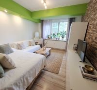 Living room in a 2-room apartment with a decorative wall and a wooden decor floor.