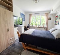 Bedroom in a 2-room apartment with a bed, wardrobe, and wooden decor flooring.