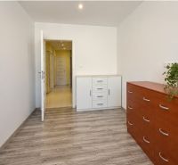 Interior of a 4-room apartment with wood-patterned flooring and storage furniture.