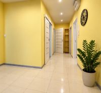 A bright hallway with yellow walls and a houseplant in a 4-room apartment.