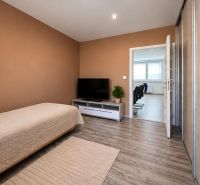 Bedroom in a 4-room apartment with wood-patterned flooring and a television.