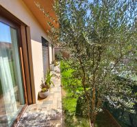 A family house in Martin nad Žitavou with a terrace and greenery, olive tree, paving, green lawn.