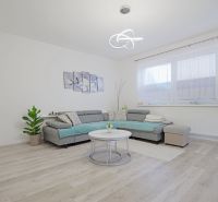 Living room with a large gray sofa, houseplants, and wood-patterned flooring.