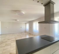 A kitchen with a cooktop and a spacious room, 3-room apartment, floor with wood decor.