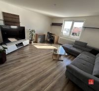 Living room with a gray sofa, television, and wood-patterned flooring in a 4-room apartment.