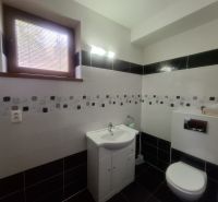 Bathroom with a sink and toilet in a family house, dark and light tiles.