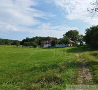 A vast meadow with a cottage in the town of Hrušov, surrounded by trees and a blue sky.