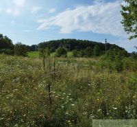 A blooming meadow around the cottage in Hrušov with a forest in the background.